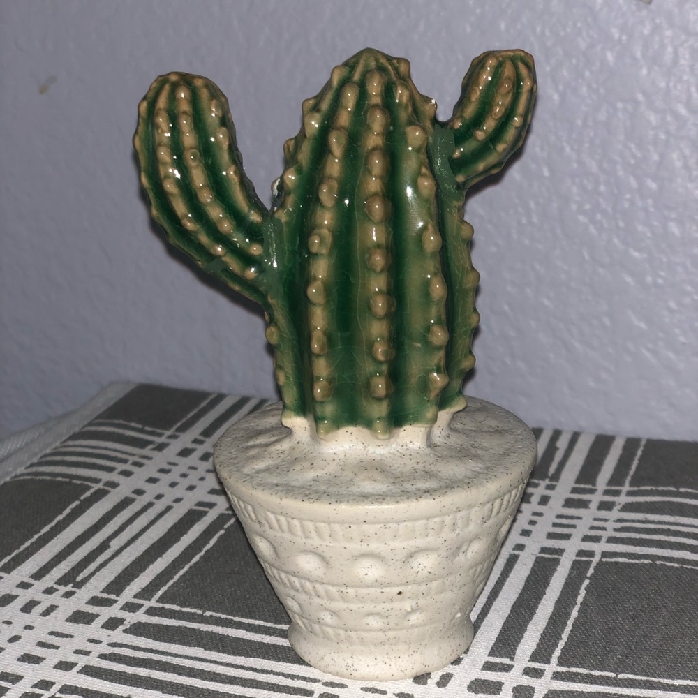 Small Cactus Decor